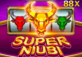 Super Niubi